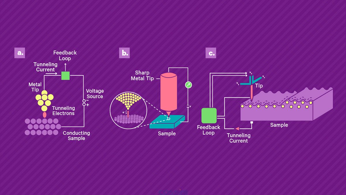 掃描隧道顯微鏡的工作原理。 a) 將鋒利的導(dǎo)電尖端靠近導(dǎo)電樣品表面并施加偏置電壓，從而產(chǎn)生穿過間隙的小隧道電流。 該電流由高增益放大器讀出。 b) 壓電掃描系統(tǒng)用于控制尖端與表面的分離并在表面上掃描尖端。 當(dāng)尖端保持在恒定高度時(shí)，電流幅度可用作尖端表面分離的直接測(cè)量，從而實(shí)現(xiàn)地形成像。 或者，可以使用反饋回路通過改變定位系統(tǒng)的控制電壓來保持恒定電流，該控制電壓被記錄下來并產(chǎn)生樣品上的形貌和電子密度的測(cè)量值。
