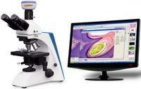 BK系列臨床、實驗室生物顯微鏡